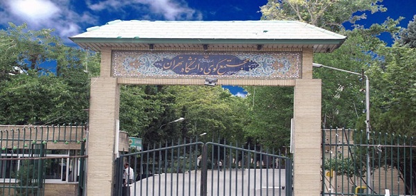 کوی دانشگاه در محله امیرآباد