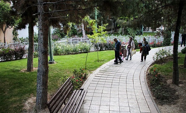 پارک سپهر در محله درختی